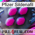 Pfizer Sildenafil 02